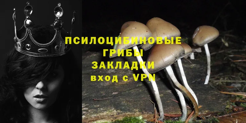 Псилоцибиновые грибы MAGIC MUSHROOMS  купить наркоту  Нягань 